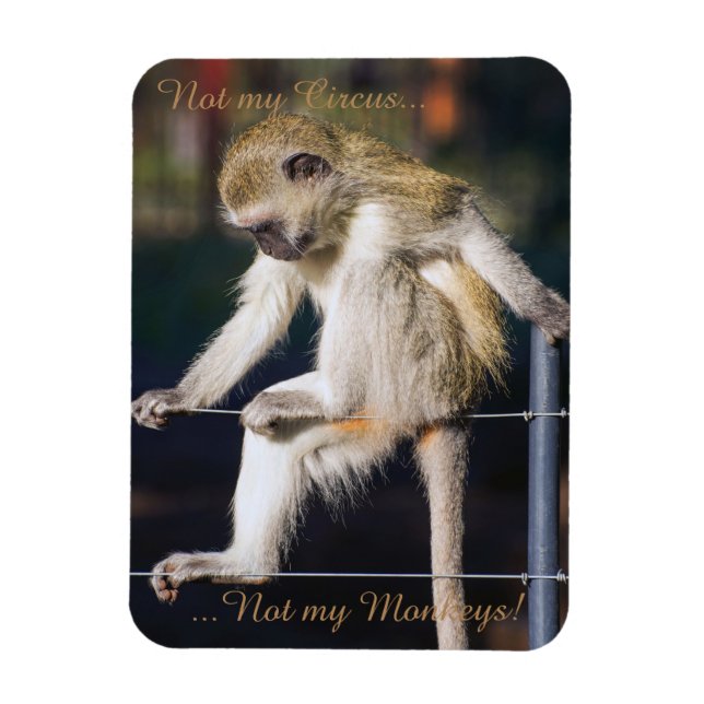 Not my circus, not my monkeys magnet (Vertical)