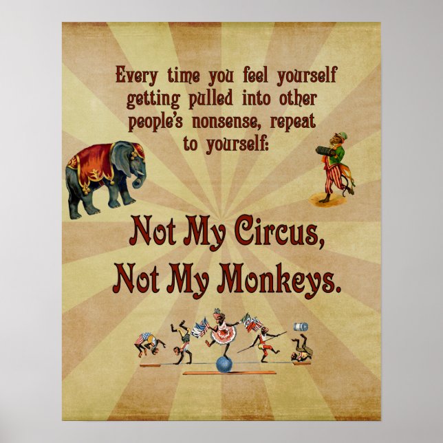 Not My Circus, Not My Monkeys Poster (Front)