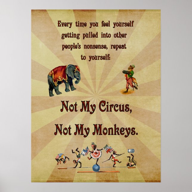 Not My Circus, Not My Monkeys Poster (Front)