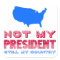 Not My President Still My Country Resist Flag