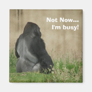 Not Now...I'm busy! Magnet