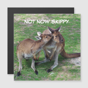 Not Now Skippy Magnetic Card