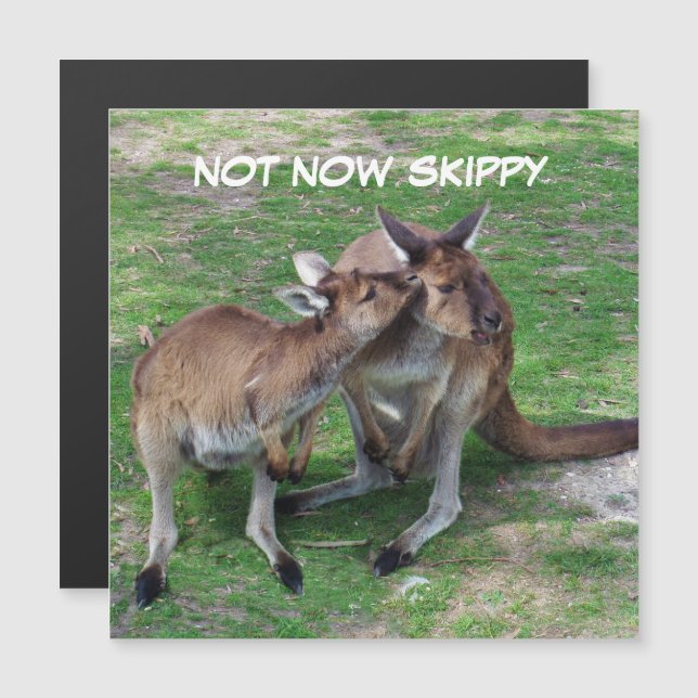 Not Now Skippy Magnetic Card (Front/Back)