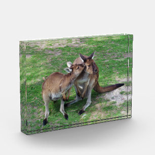 Not Now Skippy Photo Block