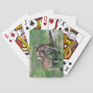 Not Now Skippy Playing Cards