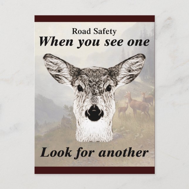 Not One Deer Postcard (Front)
