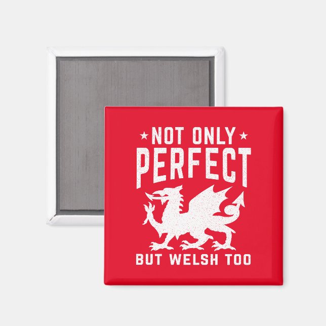 Not Only Perfect But Welsh Too Funny Wales Magnet (Front/Back)