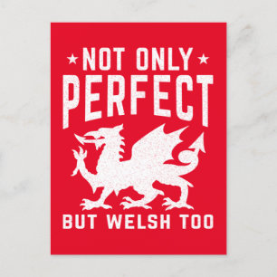 Not Only Perfect But Welsh Too Funny Wales Postcard