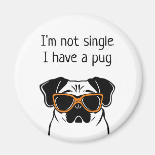 Not Single Magnet