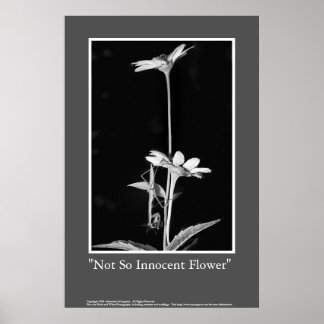 Not So Innocent Flower Poster