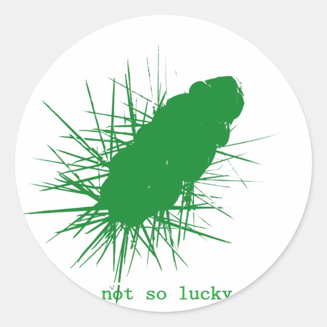 not so lucky Cholla Classic Round Sticker (Front)