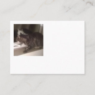 Not Talking to you Dave  business  cards