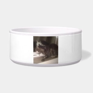 Not Talking to you Dave Large Pet Bowl
