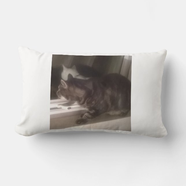 Not Talking to you Dave Lumbar Cushion 33 x 53 cm (Front)