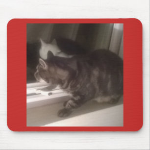 Not Talking to you Dave Mouse Pad/Mat Pad