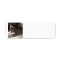 Not Talking to you Dave Return Address Labels