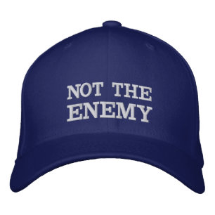 Not The Enemy Wool Flexfit Cap