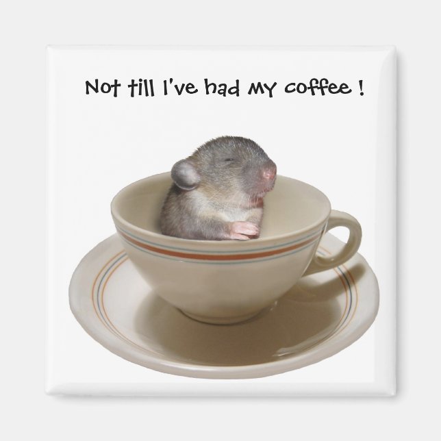 Not till I've had my coffee Magnet (Front)