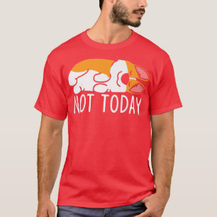 Not Today Funny Dog Lover Lazy Corgi Dog Sleeping T-Shirt