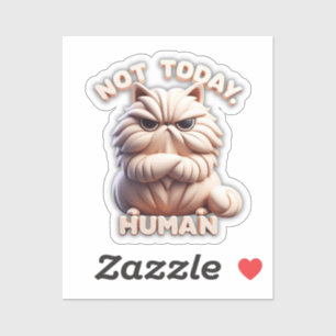 Not Today Human Grumpy Cat Vinyl Sticker