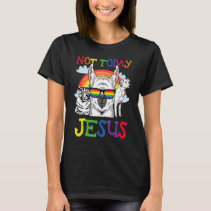 Not Today Jesus Gay Pride Lgbt Satan Llama T-Shirt