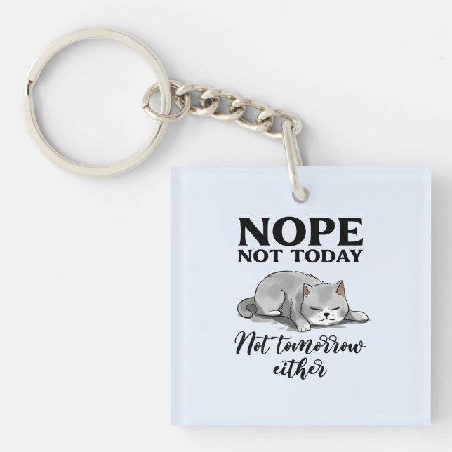 Not Today, Not Tomorrow – Sleepy Cat Key Ring (Front)