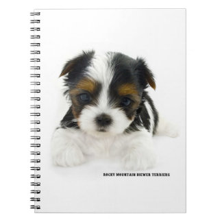 Note Book 80 Pages - Biewer Terrier Puppy