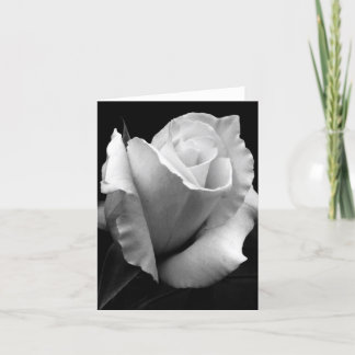 Note Card - B/W Rose