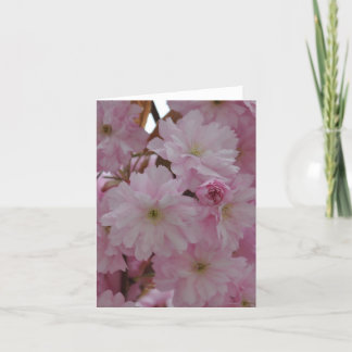 Note Card: Cherry Blossoms Card