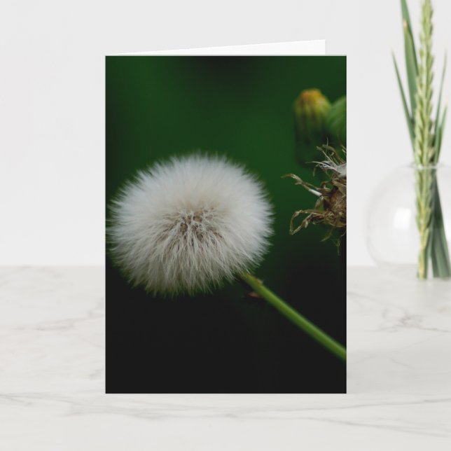 Note Card - Dandelion (Front)