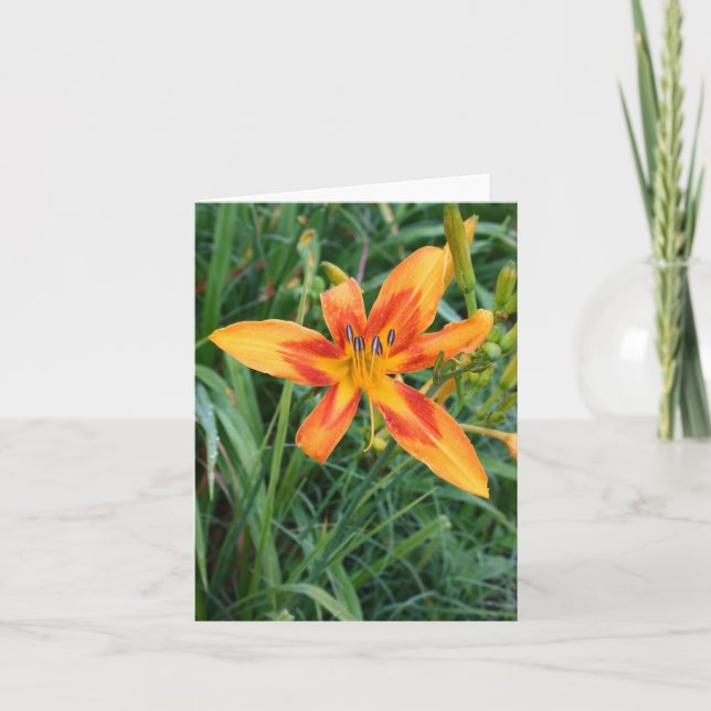 Note Card Daylillies (Front)