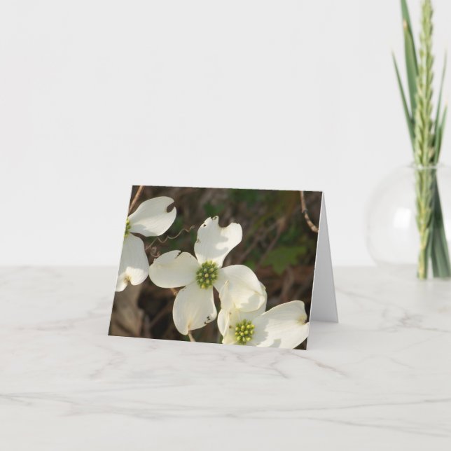 Note Card Dogwoods (Front)