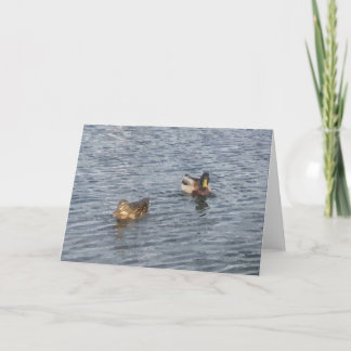 NOTE CARD: Lake Harriet, "Ducks"_ Card