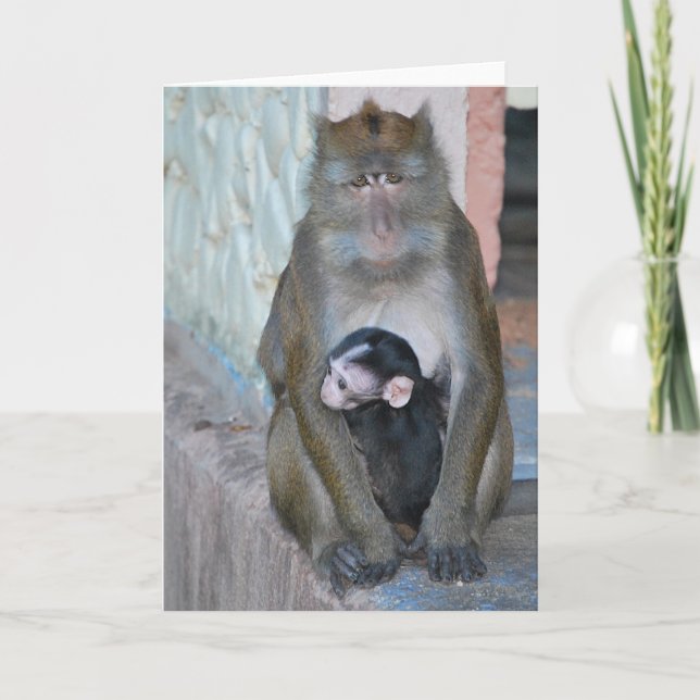 Note Card- Macaque Monkey and baby - Subic Bay Card (Front)