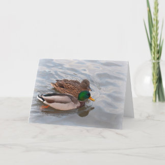 Note Card: Mallard Ducks Card