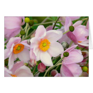 NOTE CARD /PALE PINK ANEMONES/BLANK INSIDE/PHOTOG.