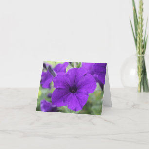 Note Card, purple petunia flower, blank Card