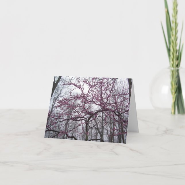 Note Card - Redbud Blossoms (Front)