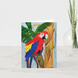 Note Card - Tropical Parrot