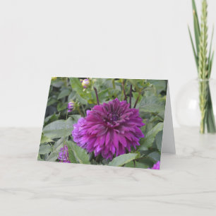 Note card with a purple dahlia in a garden