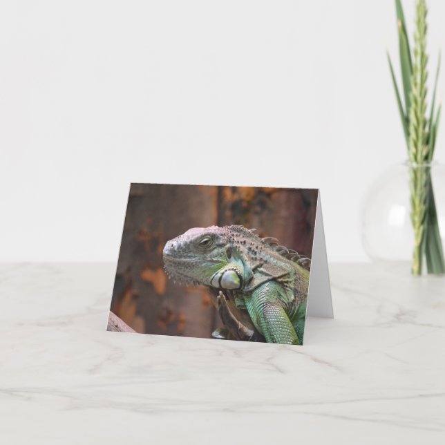 Note Card with colourful Iguana lizard (Front)