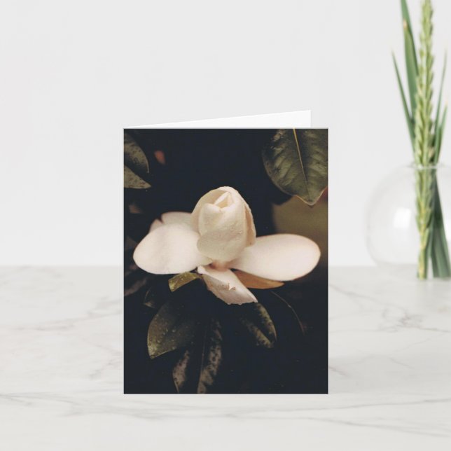 Note Card with Magnolia Blossom (Front)