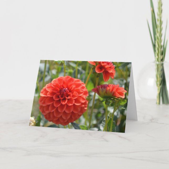 Note card with orange dahlia (Front)