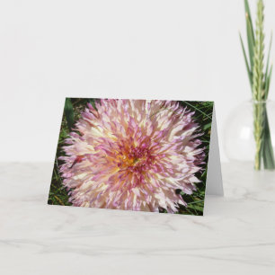 Note card with pink and white spiky dahlia