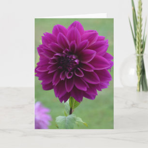Note card with purple dahlia in a garden