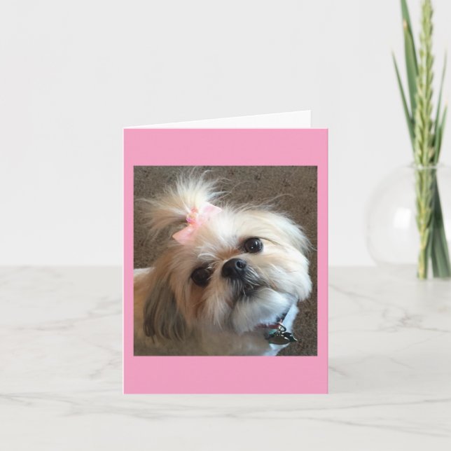 Note Cards / Amazing Grace & Glory Bea (Front)