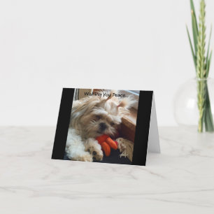 Note Cards / Amazing Grace & Glory Bea