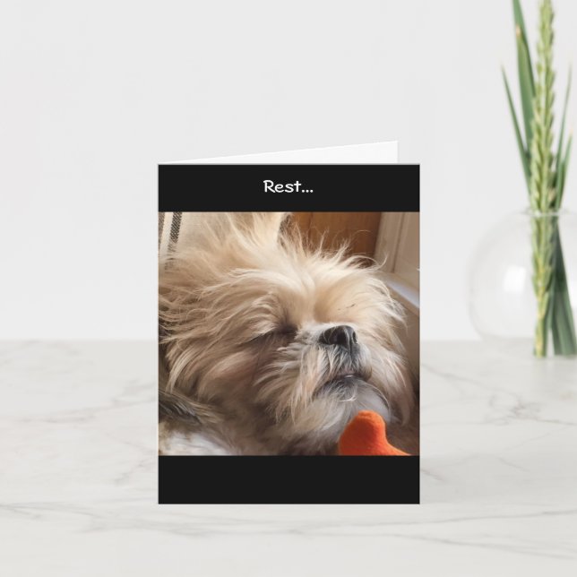 Note Cards / Amazing Grace & Glory Bea (Front)