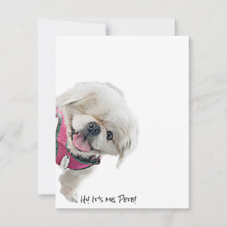 Note cards featuring Peter Rottentail