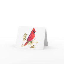 Note Cards-Male Cardinal